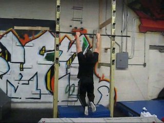 Ninja Warrior Training - Take 1 - Beast Skills