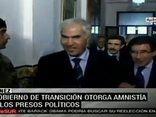 Túnez: Gobierno de transición anuncia amnistía y permite partidos