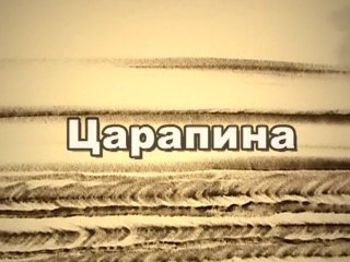 Царапина (Тайны Вечной Книги)