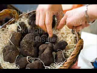 Truffles Australia