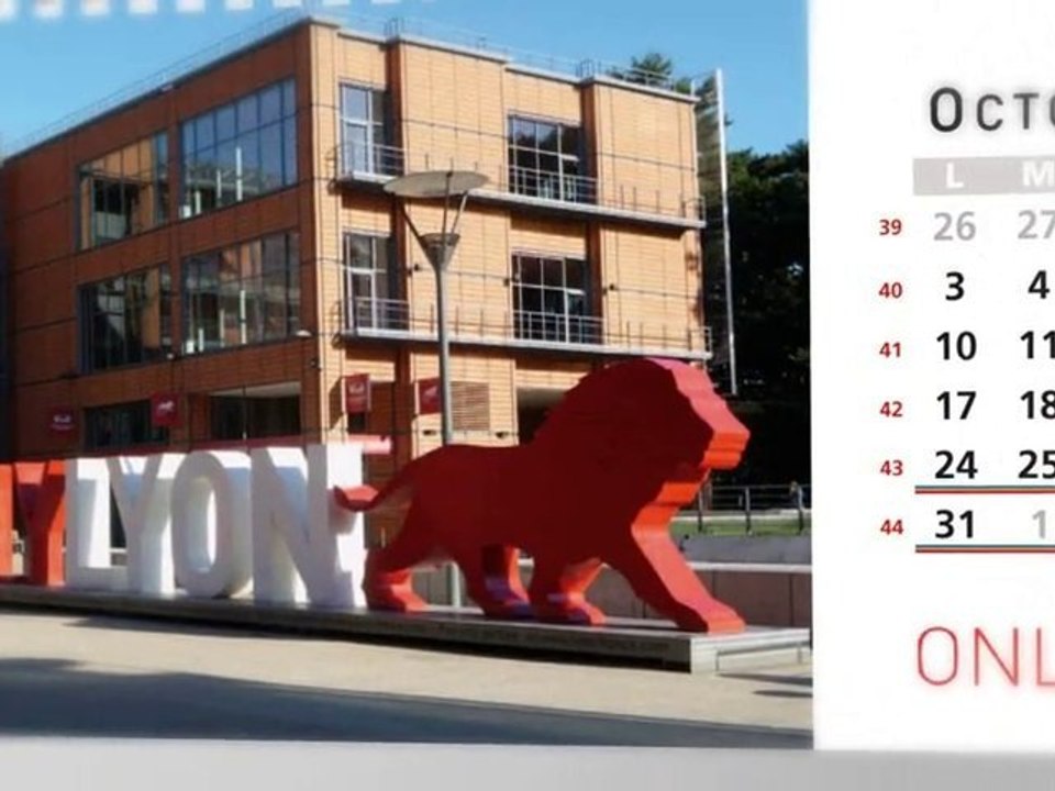 ONLYLYON vous souhaite une bonne année 2011 !