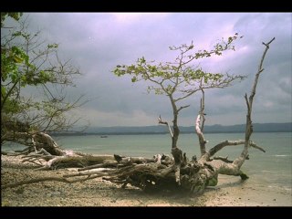 c'est  extra  par christian  Arnault