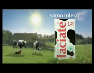 Reklama Miss Dobra Łaciata