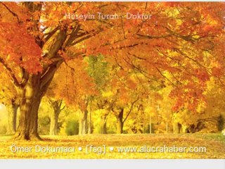 Hüseyin Turan  / Doktor