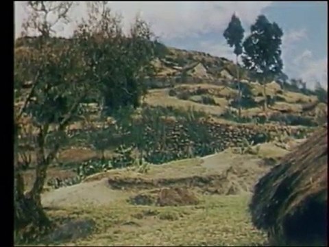 Pérou - Florentino, enfant des Andes - ABB Reportages