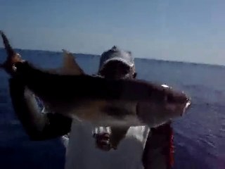 AKYA AVINDA ÇOK KISMETLI BIR GUN - www.adrasanbalik.com