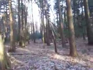 Uldda, Bayka, Caly et Sharon en chasse