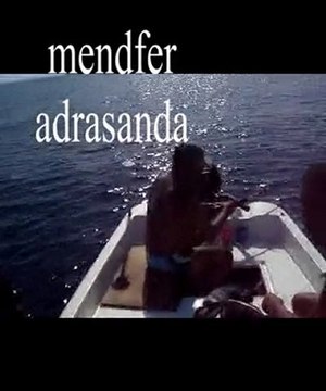 ADRASAN SULU ADADA TROFE AKYA AVI YAPTIK - adrasanbalik.com