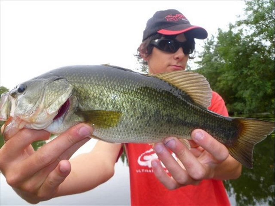 Diaporama AG section carnassiers Poitiers 2010