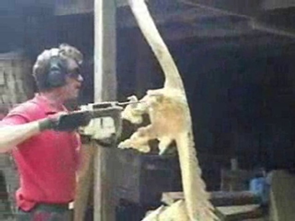 Artiste de la Chainsaw