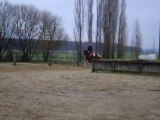 Tirelire : Travail au galop