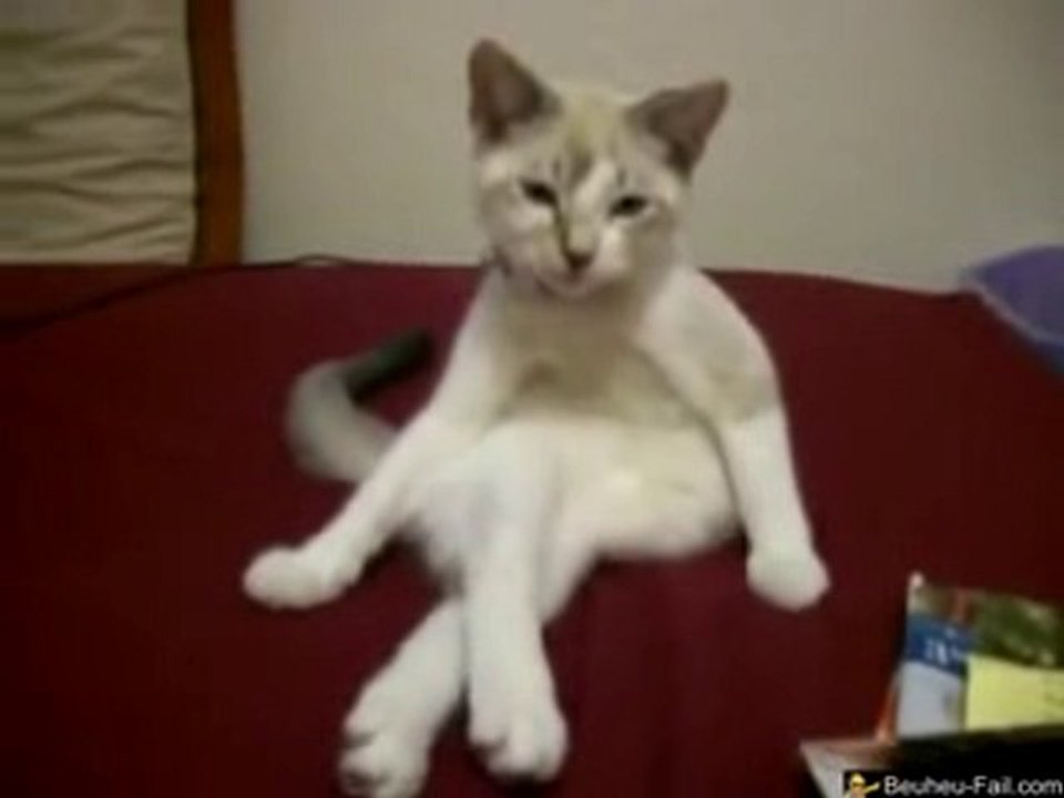 kitty tramell