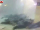 Zamach bombowy na lotnisku Domodiedowo