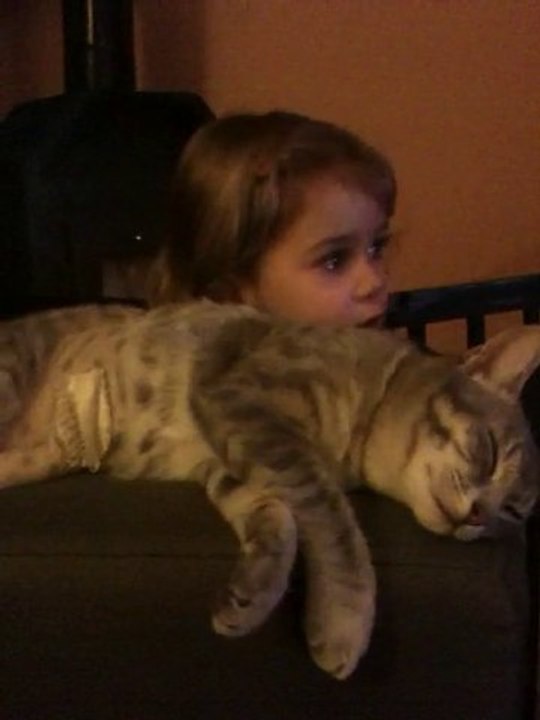 Câlin Avec Le Chat