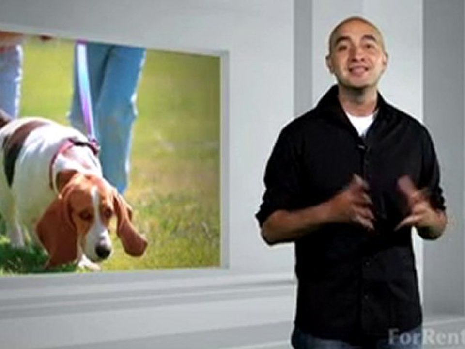Pet Training Tips - ForRent.com