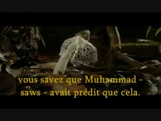 Le Village Musulman - Sheikh Imran Hosein Pt. 2