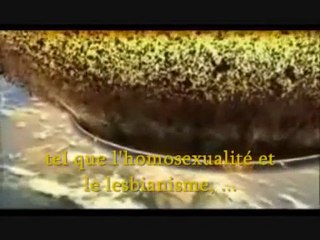 Le  Village Musulman - Sheikh Imran Hosein Pt. 3