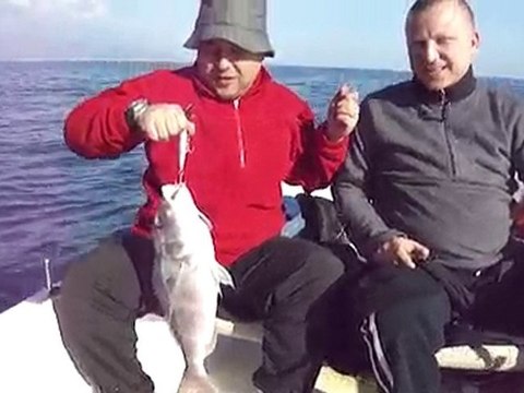 ADRASAN BALIK AVI TURUNDA DIP SIRTISIYLA SINARIT AVI - adrasanbalik.com