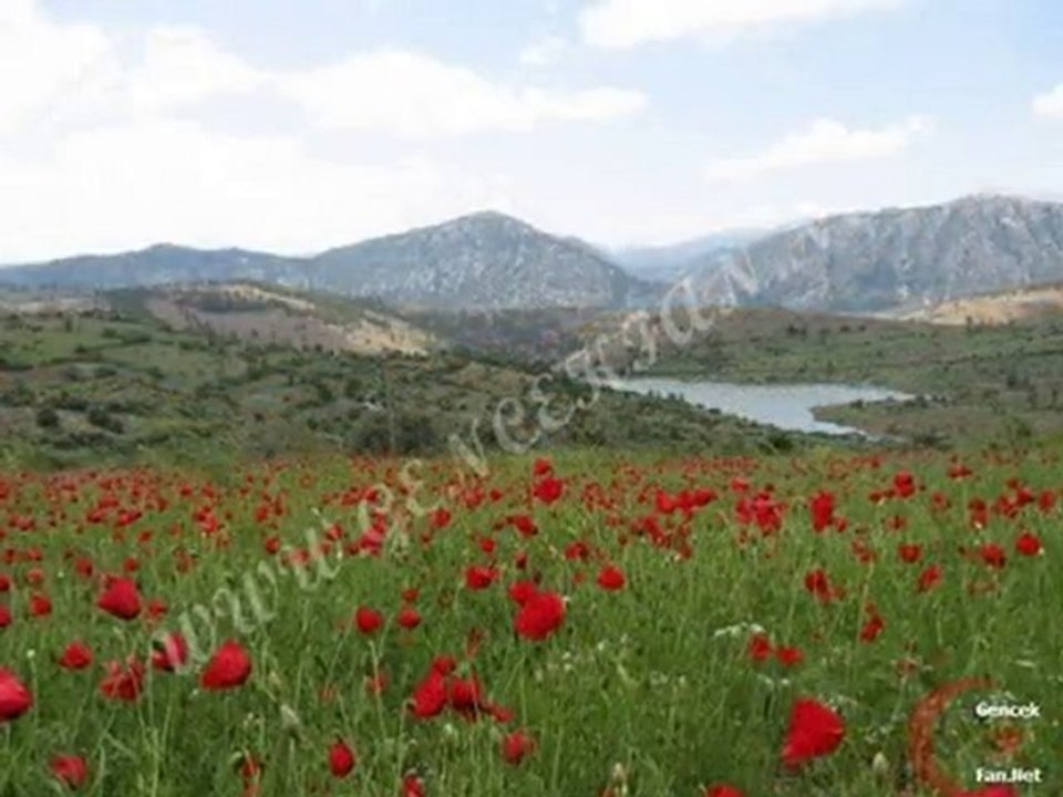 GencekTen Görünüm