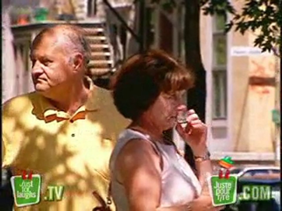 Driving Dog Prank - JustForLaughs.com