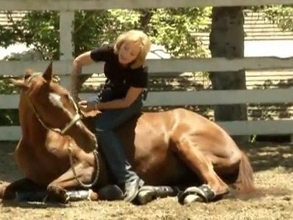 The Most Unique Book About Horse Training