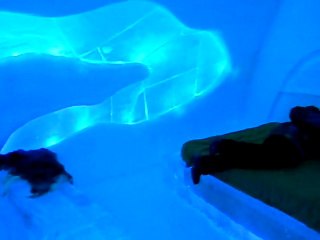 suite nordique illumination