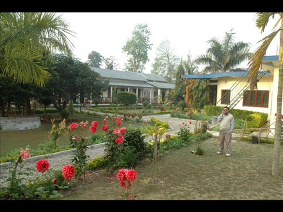 Nepal Jungle Safari - Jungle Safari in Nepal