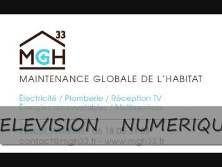 PASSAGE AU NUMÉRIQUE EN AQUITAINE LE 29 MARS 2011