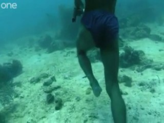 zıpkınla balık avı