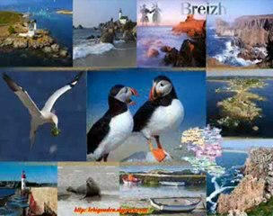 LE BIGOUDEN VIDEO PRODUCTION