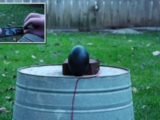 Eggsplosion! - Scientific Tuesdays