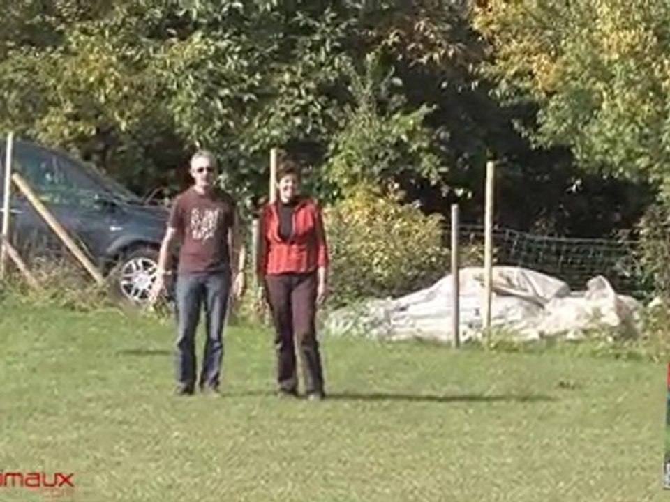 Renforcer l'attachement : le cas d'Elios