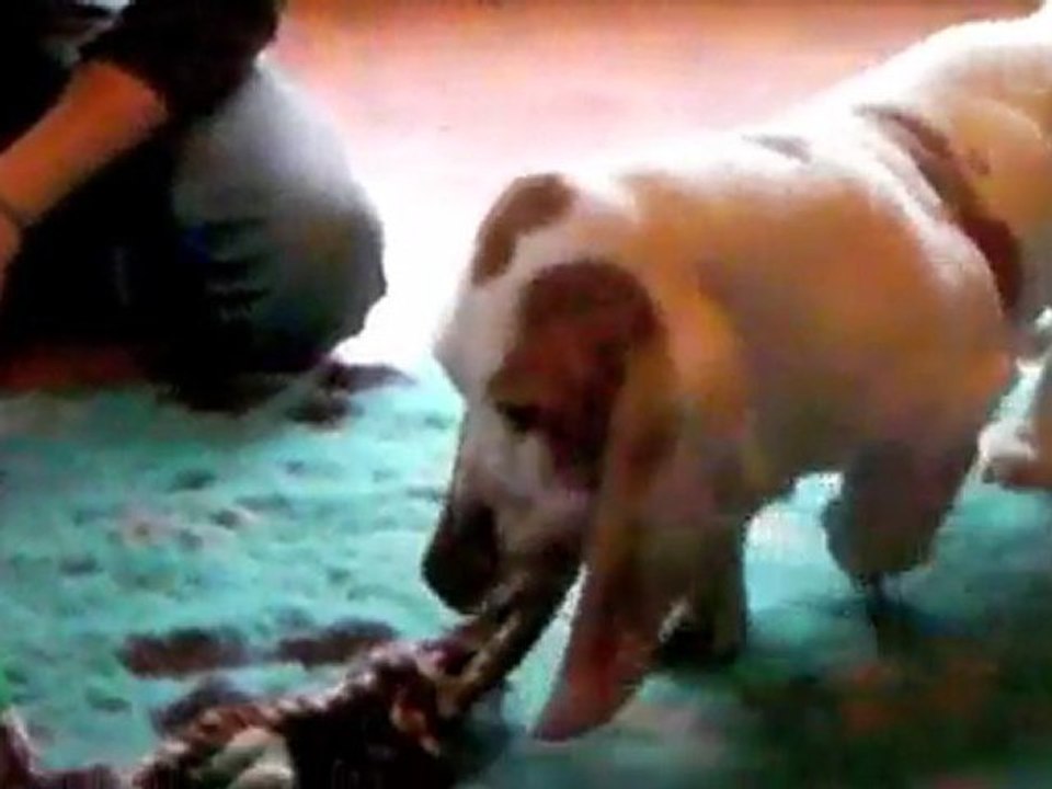 Le 1er jour de Fais pas ci-Fais pas ça