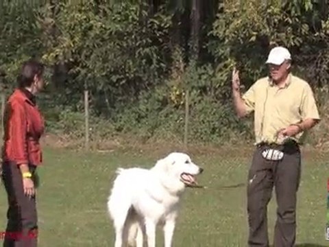 Renforcer son attachement : contrarier Elios