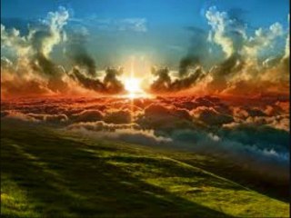 No a la Ley SinDe: el PP nos ha traicionado