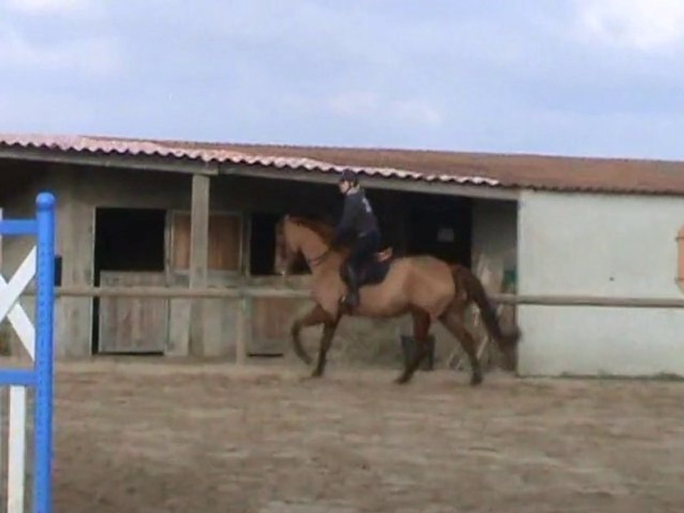 Caro6