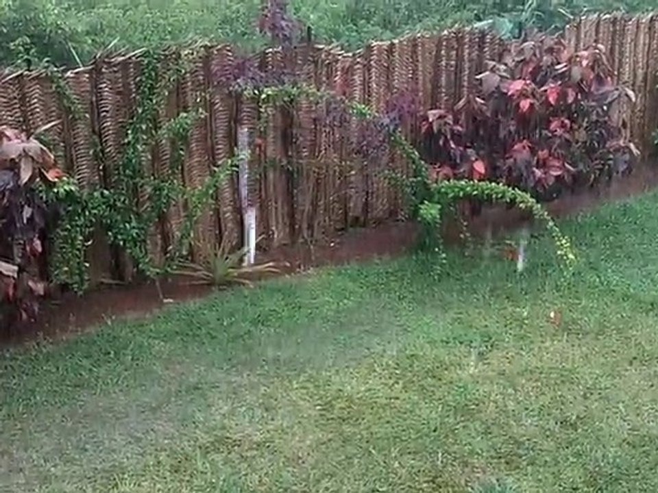 Saison des pluies.MOV