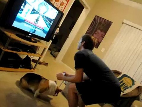 Accident de chien en jouant à la console Wii