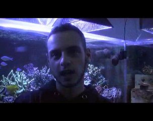 Squali e barracuda sotto il laghetto dell'Eur