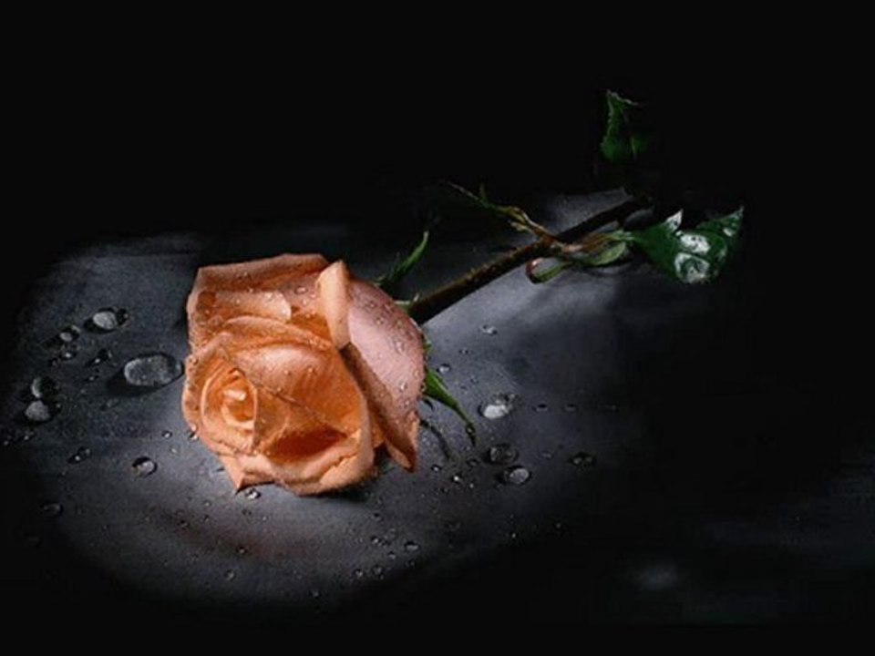 Munevver__m_s
