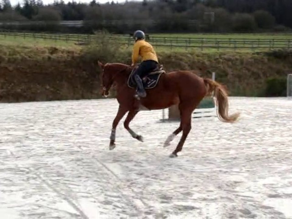 Sisley de Kersalou, 1er sauts montées