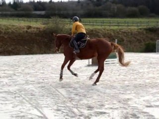Sisley de Kersalou, 1er sauts montées