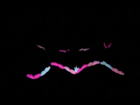 Hands: Called to Serve (Worldwide Campaign to End Apathy)