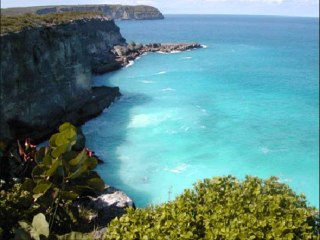 coeur grenadine vidéo_0001