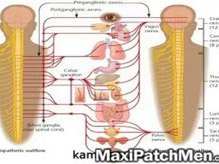 Natural Remedy for Erectile Dysfunction Maxi Patch