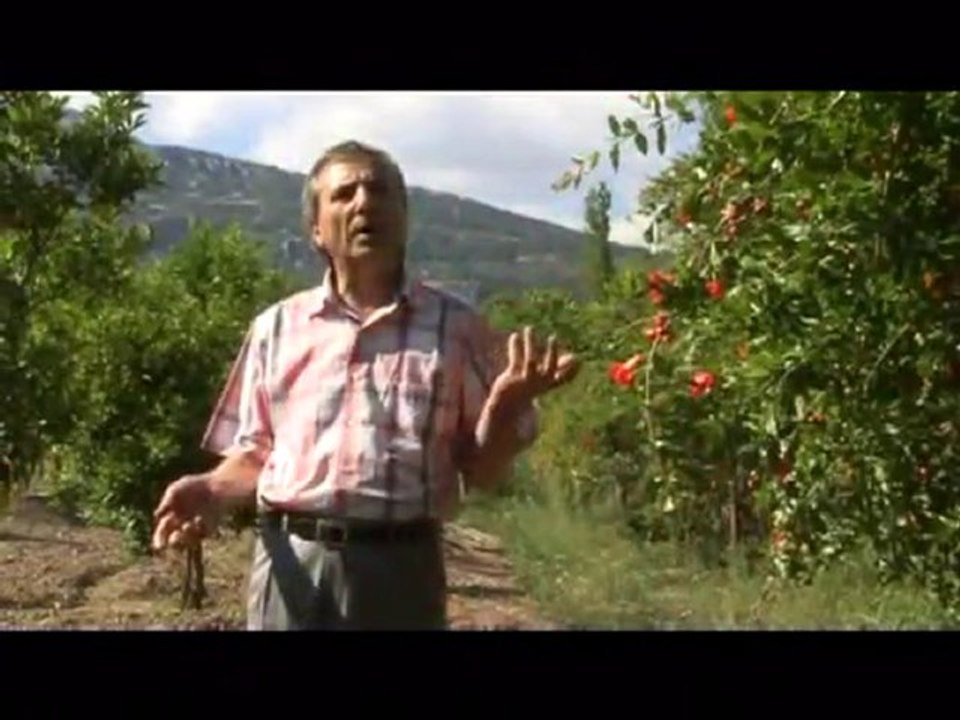 Ali Çınar  Sivaslıymış