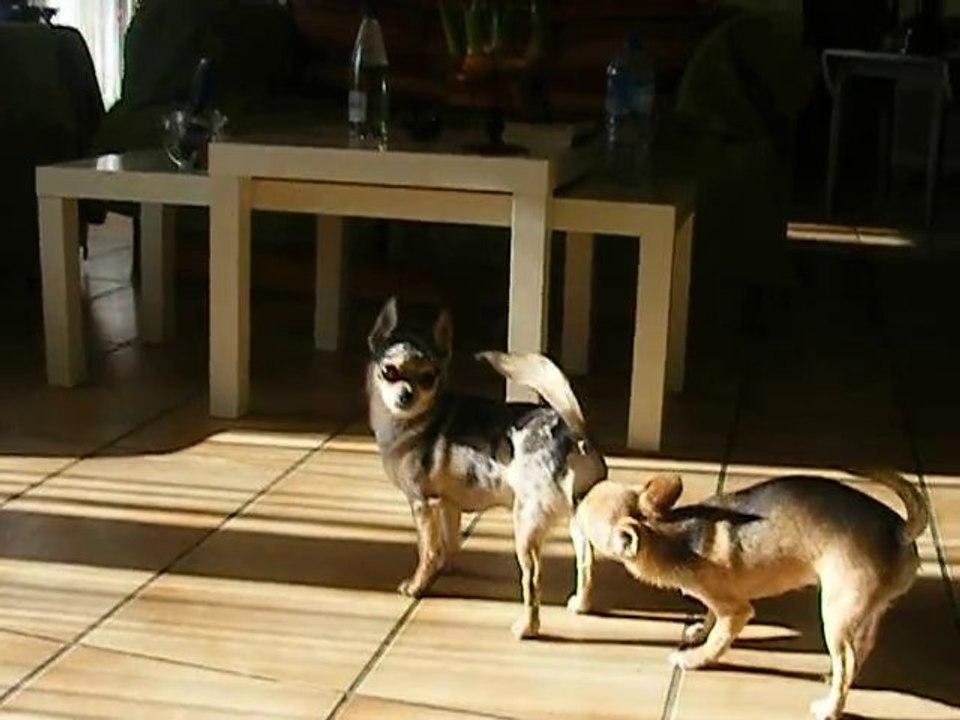 les deux folles !!!!