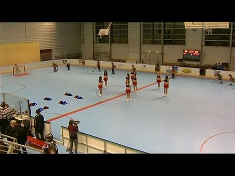 Roller Hockey Grenoble/Caen du samedi 22 Janvier 2011 1/2