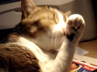 Un petit moment de douceur...