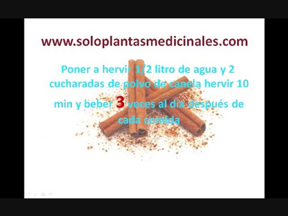 Solo  Plantas Medicinales [canela]
